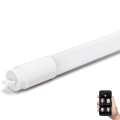 LED Dimbaar fluorescerend buis MESH Smart T8/18W/230V 6500K 120 cm - Aigostar