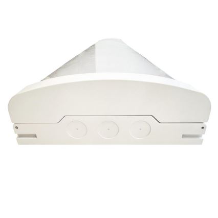 LED Dimbaar fluorescerend lamp LED/35W/44W/52W/60W/230V 4000K 120 cm