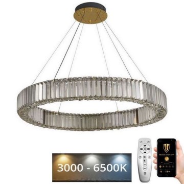 LED Dimbaar kristal Hanglamp aan een touw LED/50W/230V 3000-6500K chroom/goud + afstandsbediening