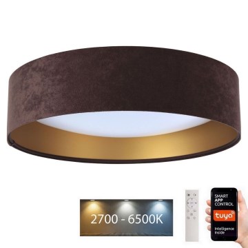 LED dimbaar licht SMART GALAXY LED/36W/230V d. 55 cm Wi-Fi Tuya + afstandsbediening