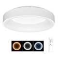 LED Dimbaar Plafondlamp NEST LED/40W/230V 3000-6500K wit