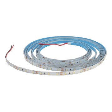 LED dimbare badkamerrand DAISY 5m warm wit IP65