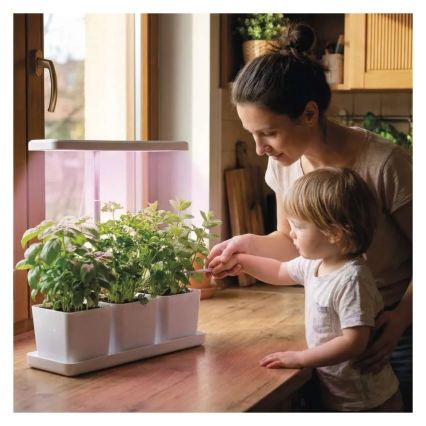 LED-dimbare binnenkweeklamp GROW LED/7W/5V