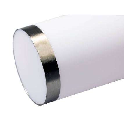 LED dimbare buitenlamp LIVIA 1xE27/6W/230-6500K Wi-Fi 100 cm IP44 zilver