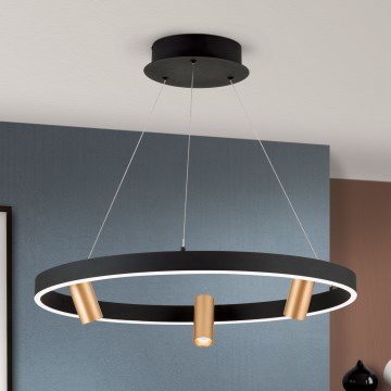 LED Dimbare hanglamp aan kabel BERLIN LED/50W/230V zwart/goud