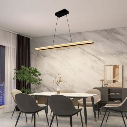 LED Dimbare hanglamp aan kabel LED/40W/230V 3000-6500K zwart + afstandsbediening