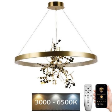 LED Dimbare hanglamp aan kabel LED/55W/230V 3000-6500K goud + afstandsbediening