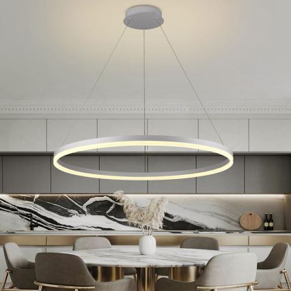 LED dimbare hanglamp aan kabel LED/55W/230V 3000-6500K Ø 80 cm + afstandsbediening