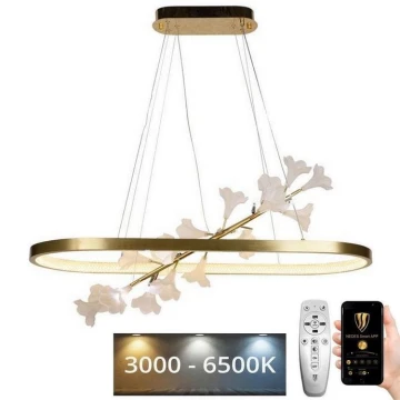LED Dimbare hanglamp aan kabel LED/65W/230V 3000-6500K + afstandsbediening