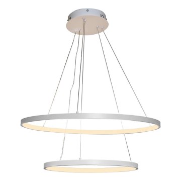 LED Dimbare hanglamp aan kabel LED/75W/230V 3000-6500K Ø 60 cm + afstandsbediening
