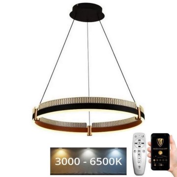 LED dimbare hanglamp aan kabel LED/80W/230V 3000-6500K Ø 60 cm + afstandsbediening