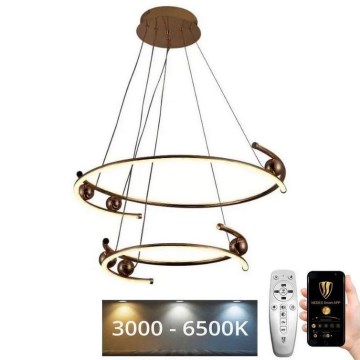 LED dimbare hanglamp aan kabel LED/80W/230V 3000-6500K Ø 60 cm + afstandsbediening