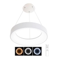 LED Dimbare hanglamp aan kabel NEST LED/40W/230V 3000-6500K wit + afstandsbediening
