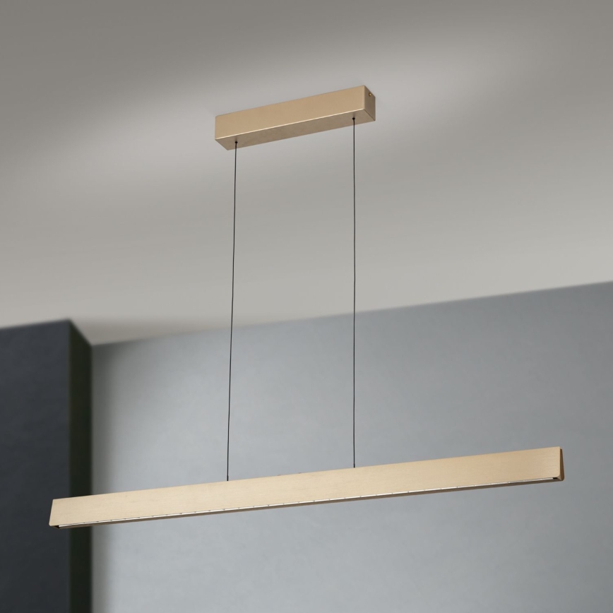 LED Dimbare hanglamp aan kabel TARA LED/44W/230V 2700/3800/4500/5700K goud