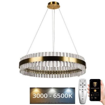 LED dimbare kristallen hanglamp aan kabel LED/55W/230V 3000-6500K + afstandsbediening
