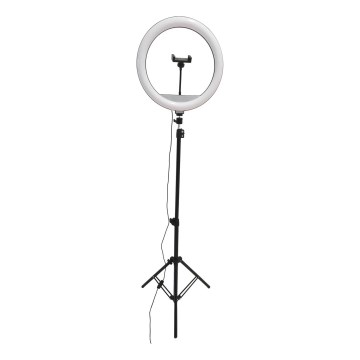 LED Dimbare lamp met statief en houder voor vloggen LED/15W/5V 2700-6500K