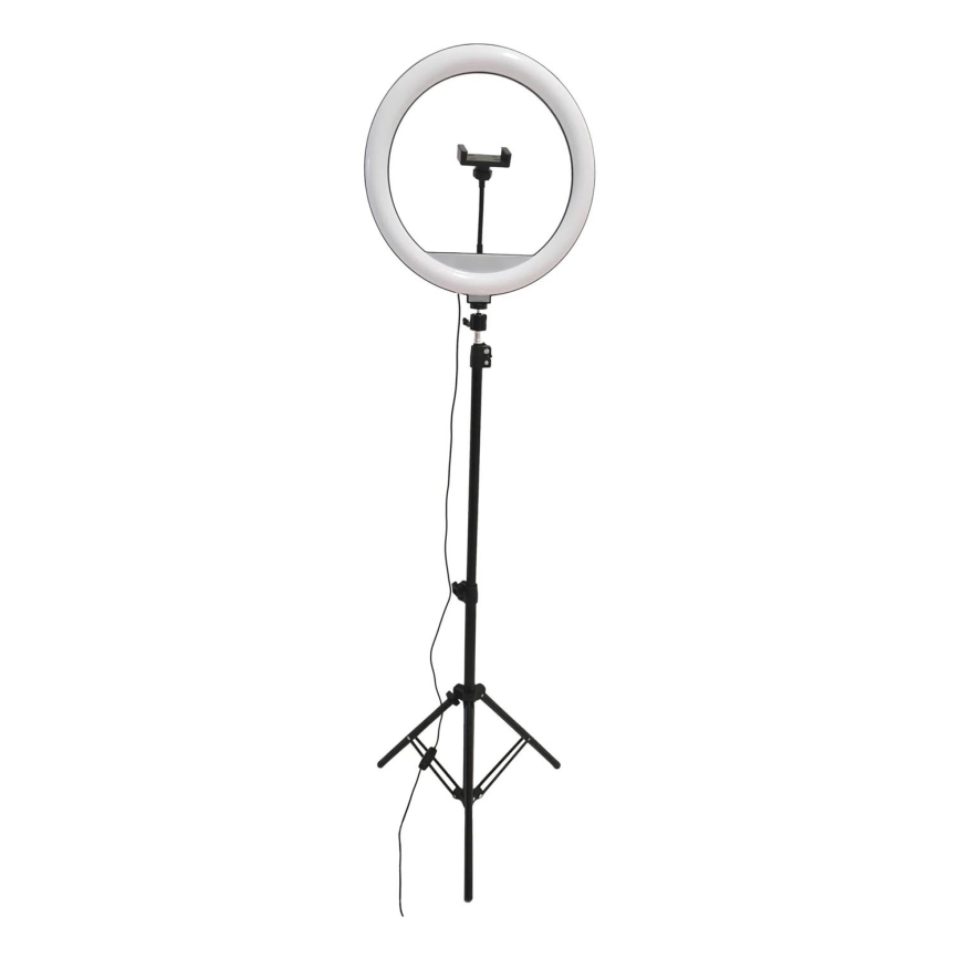 LED Dimbare lamp met statief en houder voor vloggen LED/15W/5V 2700-6500K