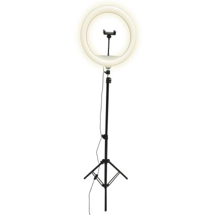 LED Dimbare lamp met statief en houder voor vloggen LED/15W/5V 2700-6500K