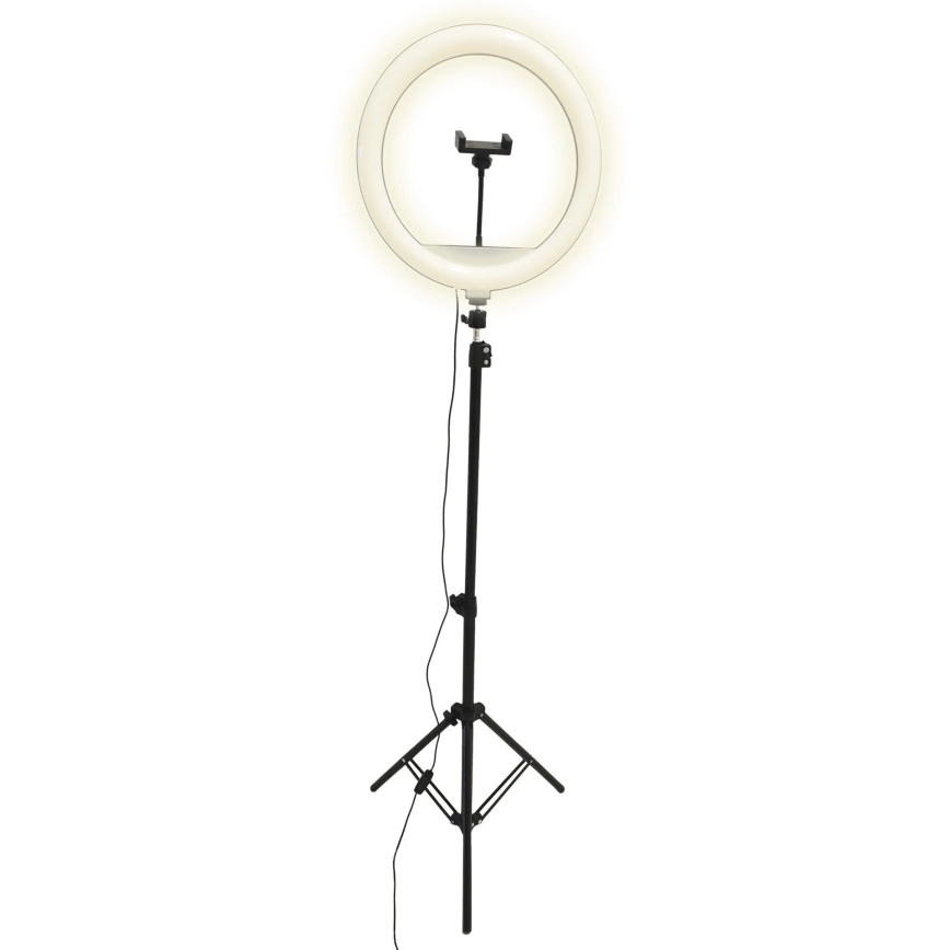 LED Dimbare lamp met statief en houder voor vloggen LED/15W/5V 2700-6500K