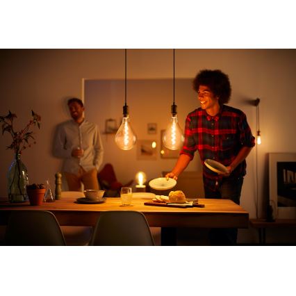 LED Dimbare Lamp  VINTAGE Philips E27/7W/230V 2000K