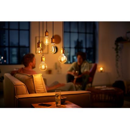 LED Dimbare Lamp  VINTAGE Philips E27/7W/230V 2000K
