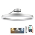 LED Dimbare Opbouwlamp LED/40W/230V 3000-6500K mat chroom + afstandsbediening