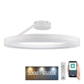 LED Dimbare Opbouwlamp LED/40W/230V 3000-6500K wit + afstandsbediening
