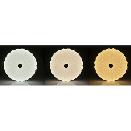 LED Dimbaar Plafondlamp FLOWER LED/36W/230V + afstandsbediening