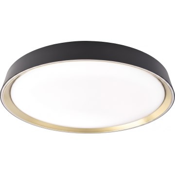 LED dimbare plafondlamp ILVI LED/30W/230V 2700-6500K diameter 40 cm zwart/messing + afstandsbediening