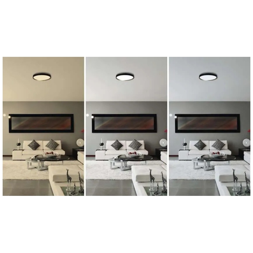 LED dimbare plafondlamp ILVI LED/30W/230V 2700-6500K diameter 40 cm zwart/messing + afstandsbediening
