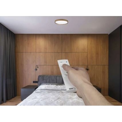 LED dimbare plafondlamp ILVI LED/30W/230V 2700-6500K Ø 40 cm beige + afstandsbediening