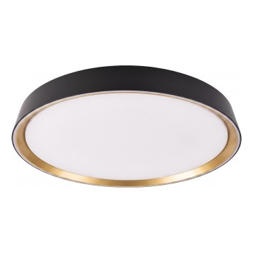 LED dimbare plafondlamp ILVI LED/45W/230V 2700-6500K Ø 50 cm zwart/beige + afstandsbediening