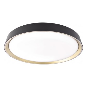 LED-dimbare plafondlamp ILVI LED/45W/230V 2700–6500K Ø 50 cm zwart/messing + afstandsbediening