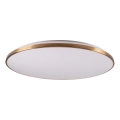 LED dimbare plafondlamp KERN LED/100W/230V 3000/4000/6000K Ø 100 cm goudkleurig + afstandsbediening