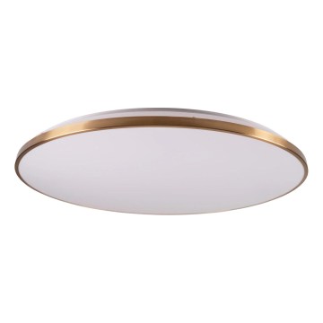 LED dimbare plafondlamp KERN LED/100W/230V 3000/4000/6000K Ø 100 cm goudkleurig + afstandsbediening