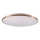 LED dimbare plafondlamp KERN LED/100W/230V 3000/4000/6000K Ø 100 cm goudkleurig + afstandsbediening