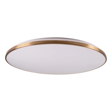 LED-dimbare plafondlamp KERN LED/80W/230V 3000/4000/6000K Ø 80 cm goudkleurig + afstandsbediening