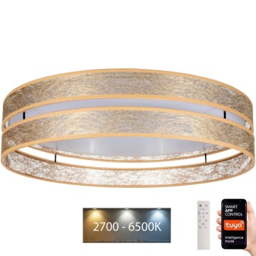 LED Dimbare plafondlamp LIMA LED/36W/230V 2700-6500K Wi-Fi Tuya + afstandsbediening goud