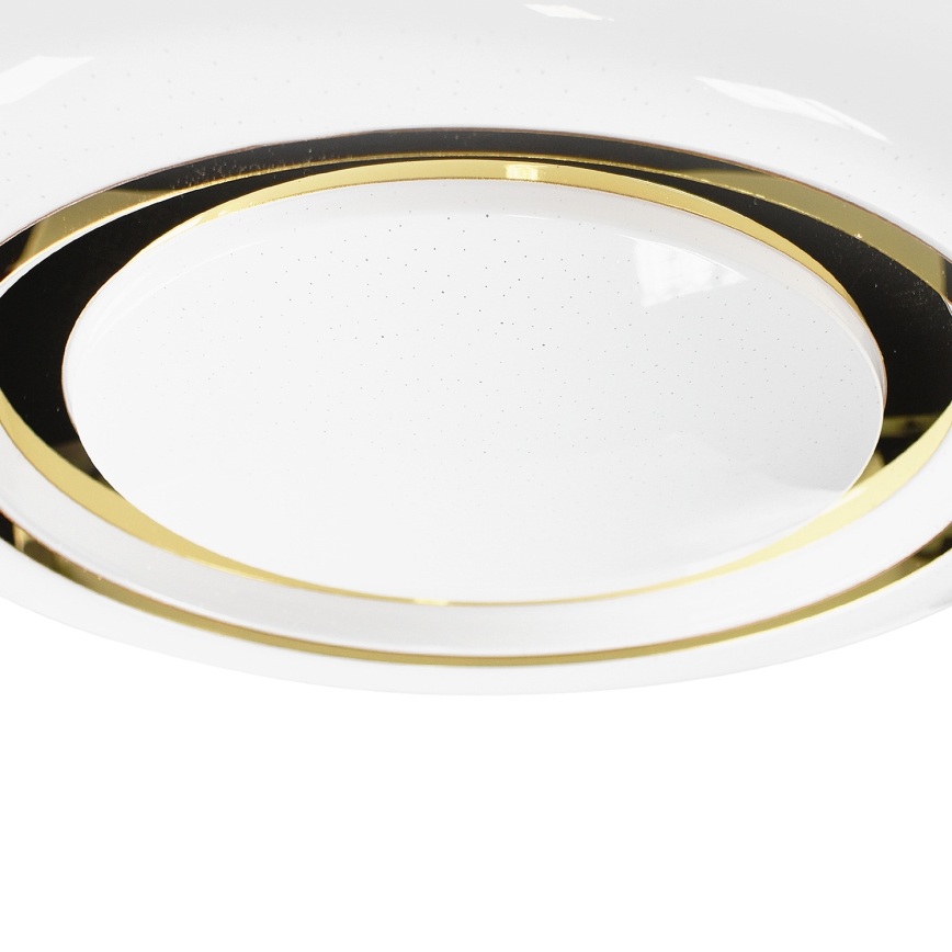 LED Dimbare plafondlamp MEGAN LED/48W/230V 3000-6000K + afstandsbediening