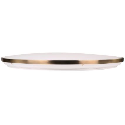 LED-dimbare plafondlamp KERN LED/80W/230V 3000/4000/6000K Ø 80 cm goudkleurig + afstandsbediening