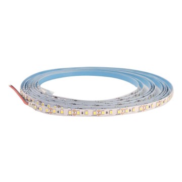 LED dimbare strip DAISY 30m koel wit