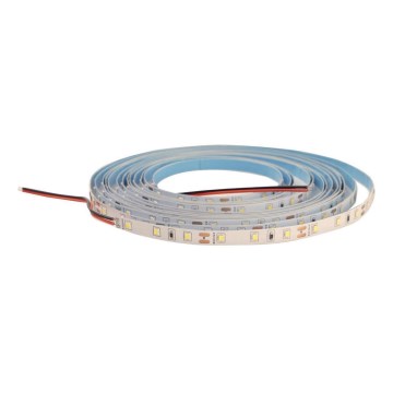 LED dimbare strip DAISY 5m koud wit