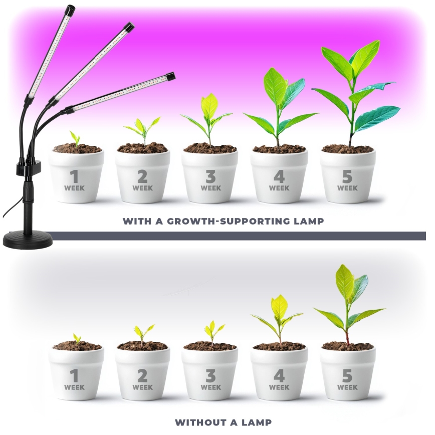 LED Dimbare Flexibele Bureaulamp voor Plantenkweek VITARO 3xLED/10W/230V zwart