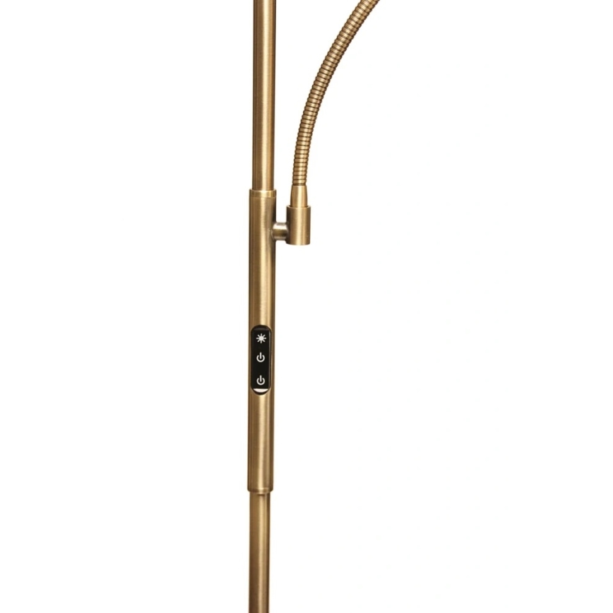 Dimbare LED-vloerlamp NORA LED/25W/230V 2200/3000/4000K + LED/5W 3000K goudkleurig + afstandsbediening