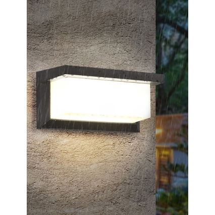 LED dimbare buitenwandlamp NEELY 1xE27/6W/230V 2700-6500K IP54 antraciet