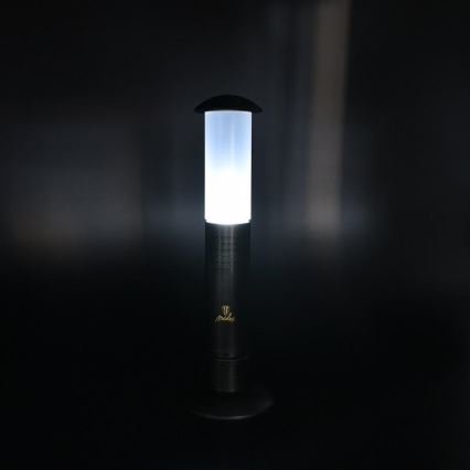 LED Draaglamp 2xLED/1xD IPX4