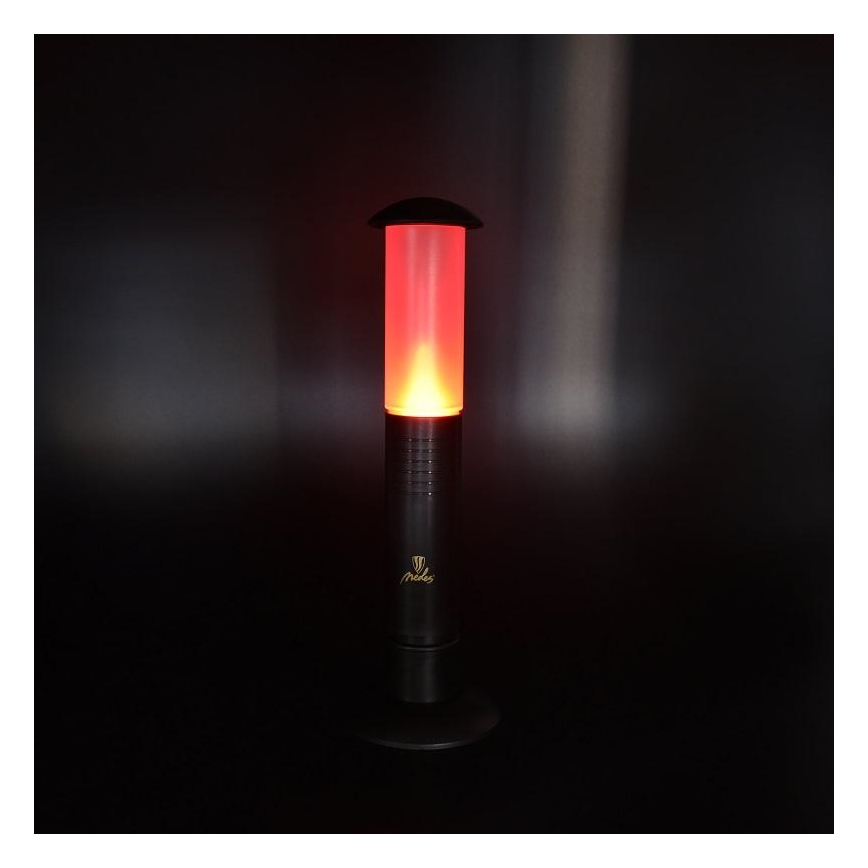 LED Draaglamp 2xLED/1xD IPX4