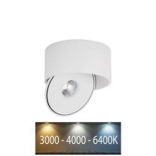 LED Flexibel Spot LED/20W/230V 3000/4000/6400K CRI 90 wit