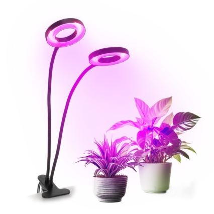 LED Dimbare Flexibele Tafellamp met Clip voor Plantenkweek VITARO 2xLED/4W/230V zwart