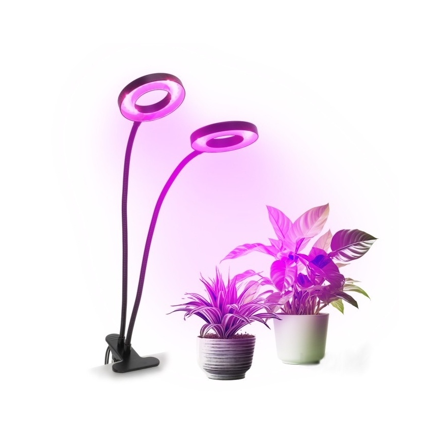 LED Dimbare Flexibele Tafellamp met Clip voor Plantenkweek VITARO 2xLED/4W/230V zwart